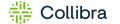 Logo Collibra
